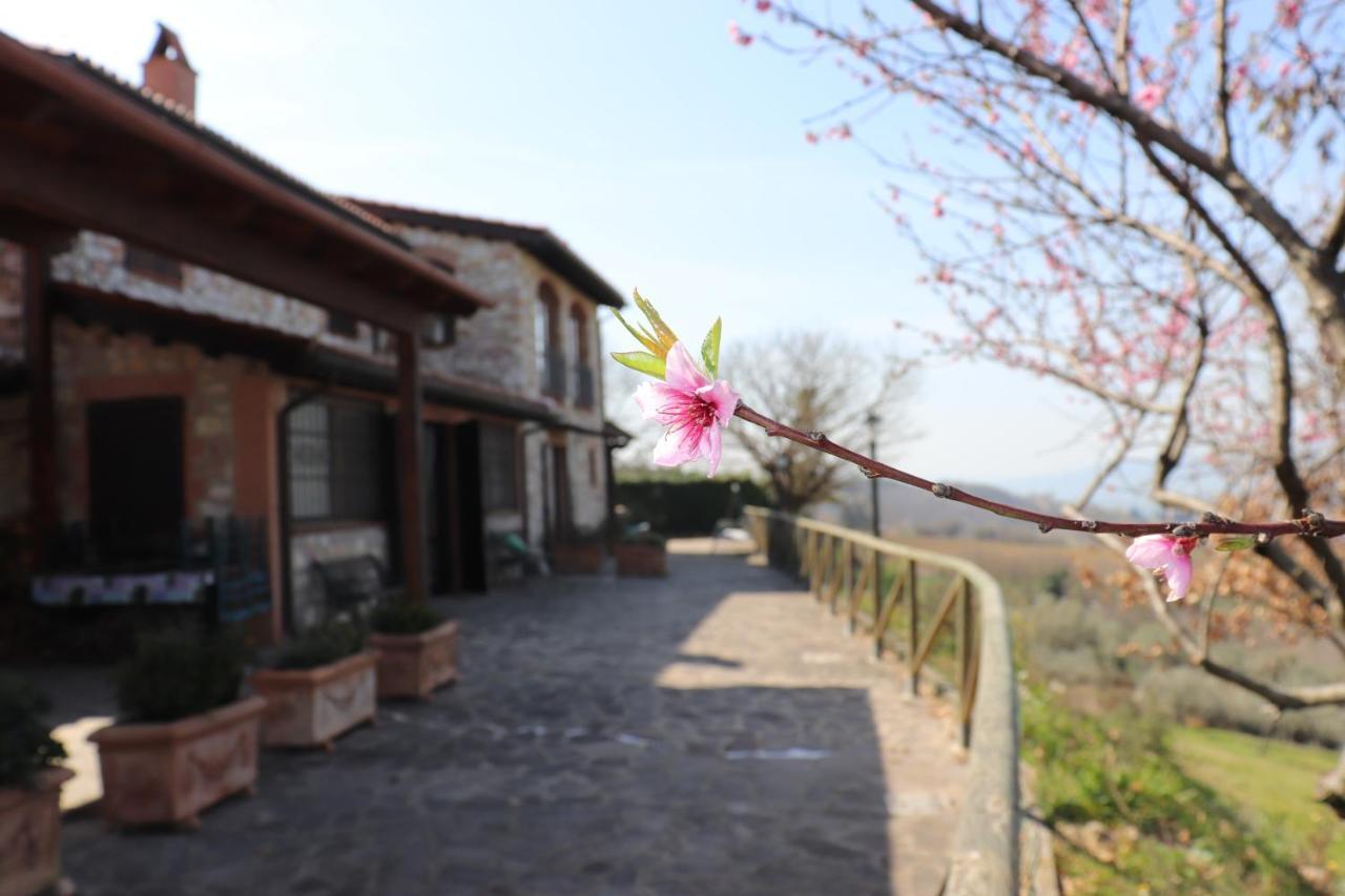 B&B Casale Roshlee Gualdo Cattaneo Zewnętrze zdjęcie